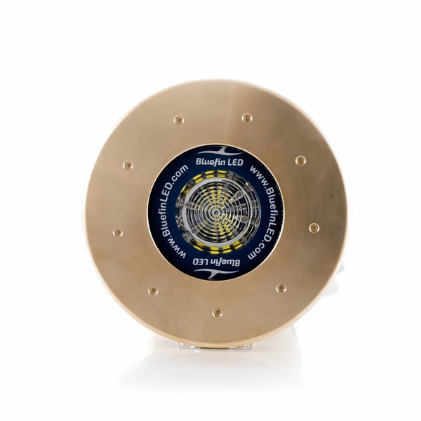 Bluefin LED Great White GW20 Flush Mount Light