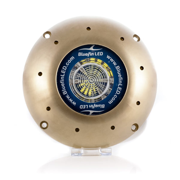 Bluefin LED Orca O