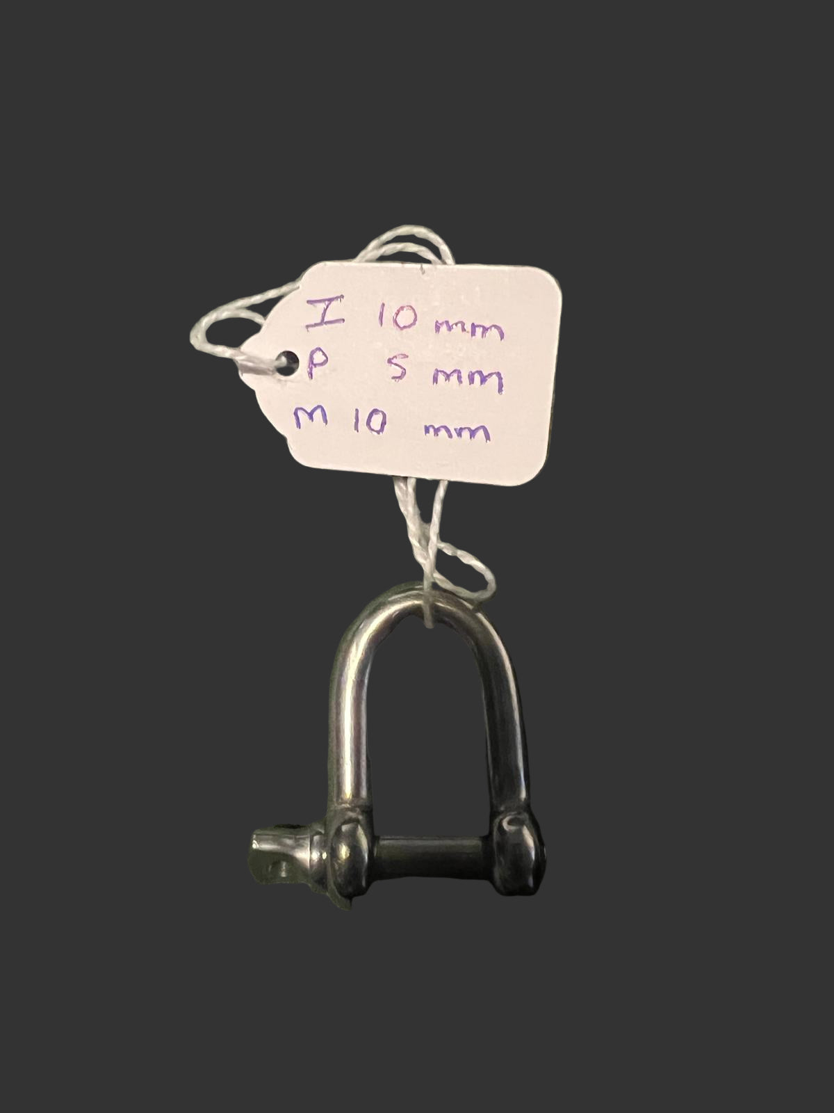 Stainless Steel Dee Shackle