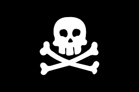 Meridian Zero Jolly Roger Flag