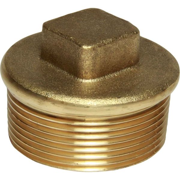 Blanking Plug