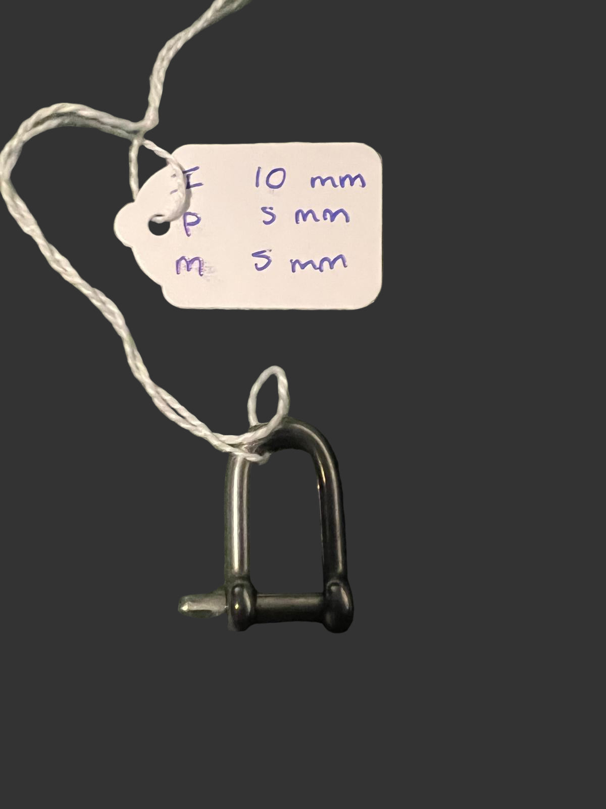 Stainless Steel Dee Shackle