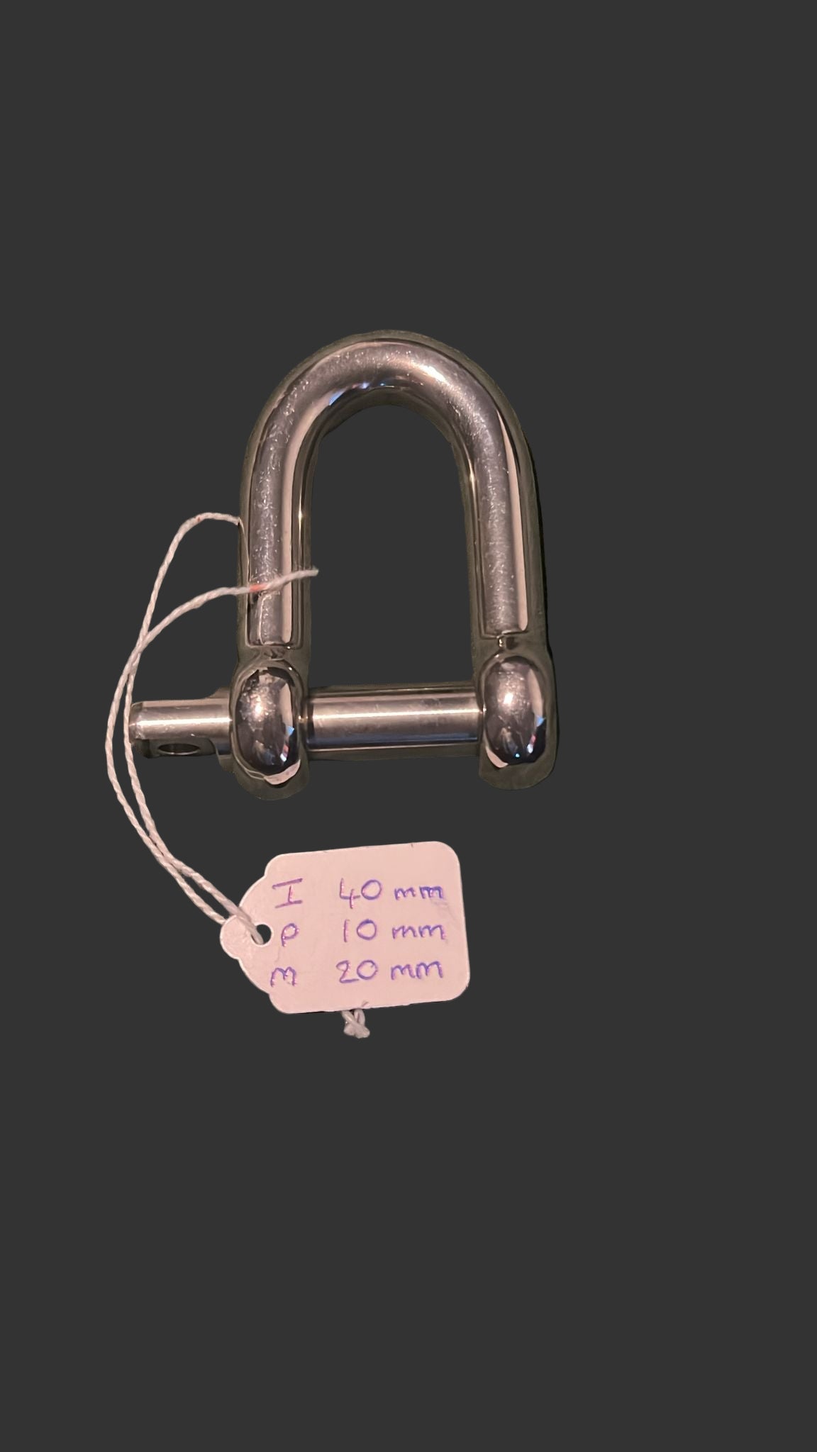 Stainless Steel Dee Shackle