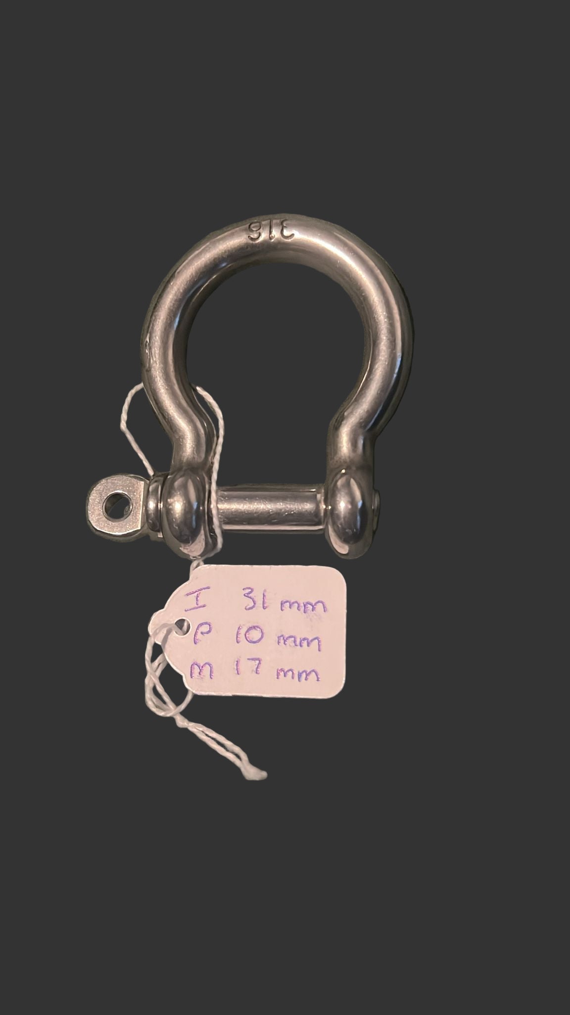 Stainless Steel Bow Shackle