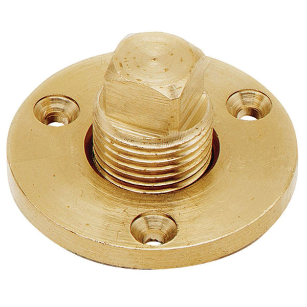 Cquip Brass Gardboard Drain and Plug