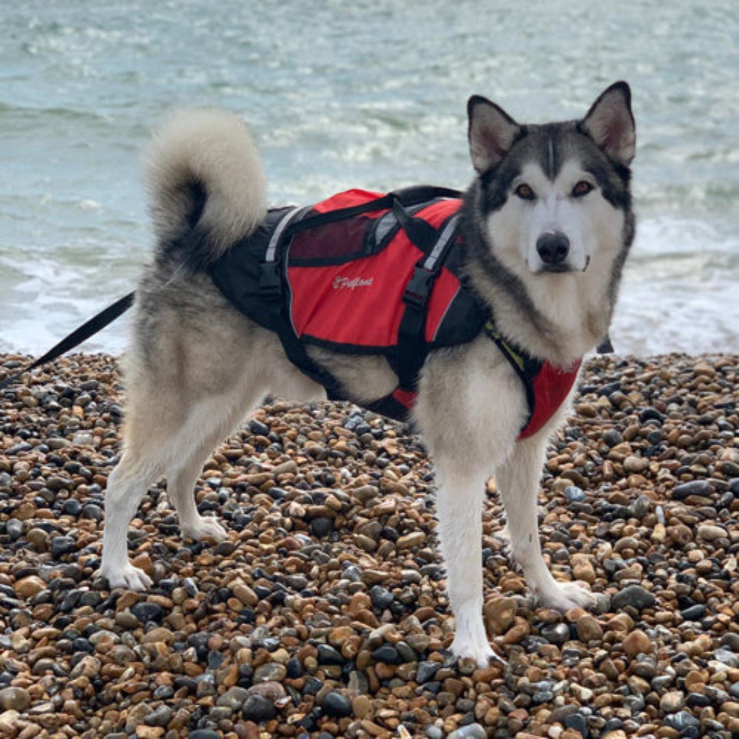 Crewsaver Pet Float Buoyancy Aid Red