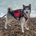 Crewsaver Pet Float Buoyancy Aid Red