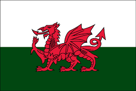 Meridian Zero Welsh Flag