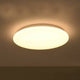 Unknown Flush Mount Light