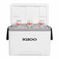Igloo 23L Rigid Marine Portable Cooler