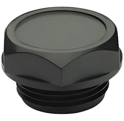 IBS Budget Removable Valve 500122